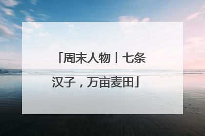 周末人物丨七条汉子，万亩麦田