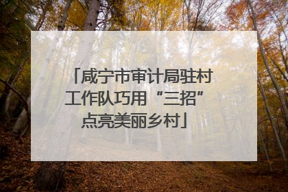 咸宁市审计局驻村工作队巧用“三招”点亮美丽乡村