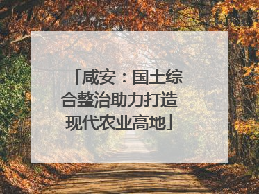 咸安：国土综合整治助力打造现代农业高地
