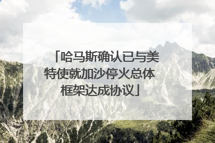 哈马斯确认已与美特使就加沙停火总体框架达成协议