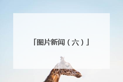 图片新闻（六）