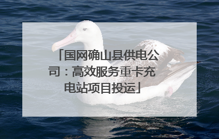国网确山县供电公司：高效服务重卡充电站项目投运