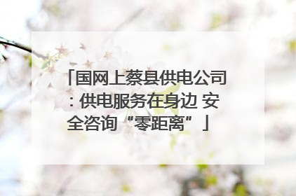国网上蔡县供电公司：供电服务在身边 安全咨询“零距离”