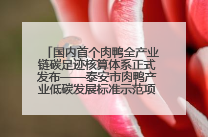 国内首个肉鸭全产业链碳足迹核算体系正式发布——泰安市肉鸭产业低碳发展标准示范项目顺利通过验收