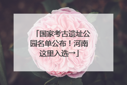 国家考古遗址公园名单公布！河南这里入选→