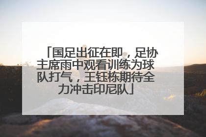 国足出征在即，足协主席雨中观看训练为球队打气，王钰栋期待全力冲击印尼队