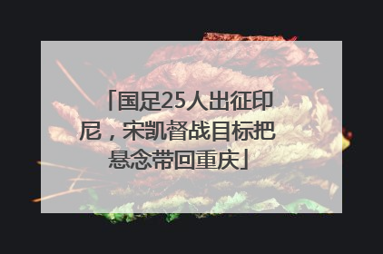 国足25人出征印尼，宋凯督战目标把悬念带回重庆