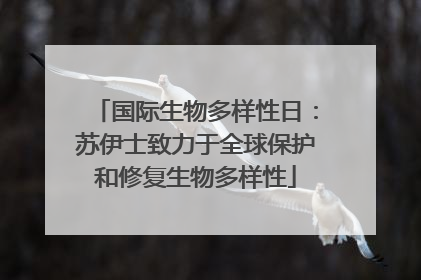 国际生物多样性日：苏伊士致力于全球保护和修复生物多样性