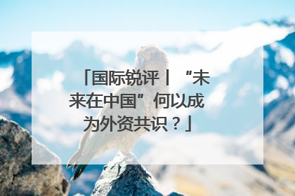 国际锐评丨“未来在中国”何以成为外资共识？