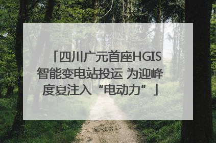 四川广元首座HGIS智能变电站投运 为迎峰度夏注入“电动力”