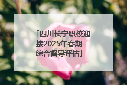 四川长宁职校迎接2025年春期综合督导评估