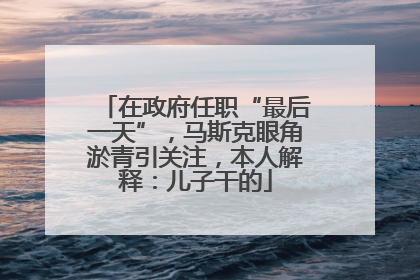 在政府任职“最后一天”，马斯克眼角淤青引关注，本人解释：儿子干的