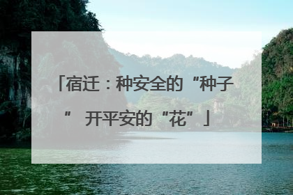 宿迁：种安全的“种子” 开平安的“花”