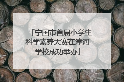 宁国市首届小学生科学素养大赛在津河学校成功举办