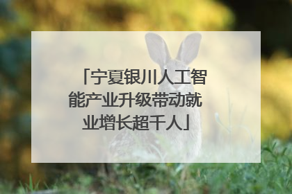 宁夏银川人工智能产业升级带动就业增长超千人