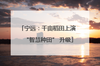 宁远：千亩稻田上演 “智慧种田” 升级