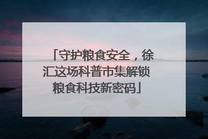 守护粮食安全，徐汇这场科普市集解锁粮食科技新密码