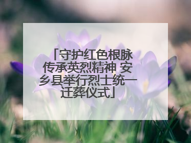 守护红色根脉 传承英烈精神 安乡县举行烈士统一迁葬仪式