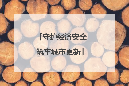 守护经济安全 筑牢城市更新