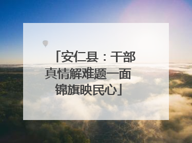 安仁县：干部真情解难题一面锦旗映民心