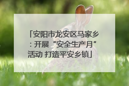 安阳市龙安区马家乡：开展“安全生产月”活动 打造平安乡镇
