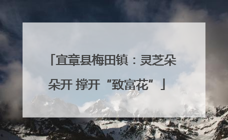宜章县梅田镇：灵芝朵朵开 撑开“致富花”