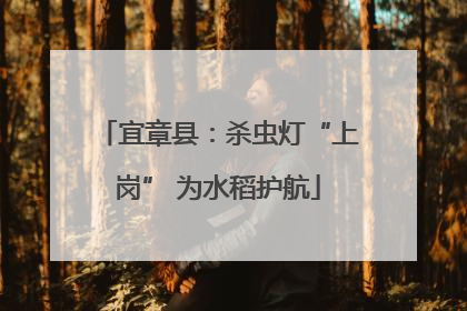 宜章县：杀虫灯“上岗” 为水稻护航