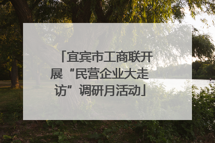 宜宾市工商联开展“民营企业大走访”调研月活动