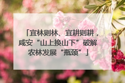 宜林则林、宜耕则耕，咸安“山上换山下”破解农林发展“瓶颈”