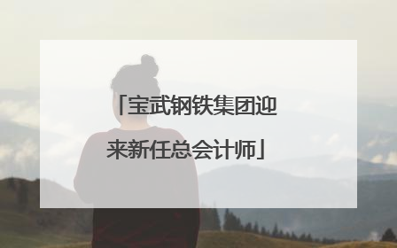 宝武钢铁集团迎来新任总会计师