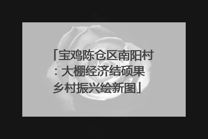宝鸡陈仓区南阳村：大棚经济结硕果 乡村振兴绘新图