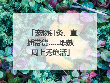 宠物针灸、直播带货……职教周上秀绝活