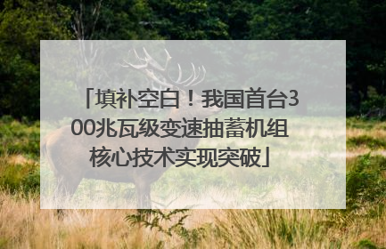 填补空白！我国首台300兆瓦级变速抽蓄机组核心技术实现突破