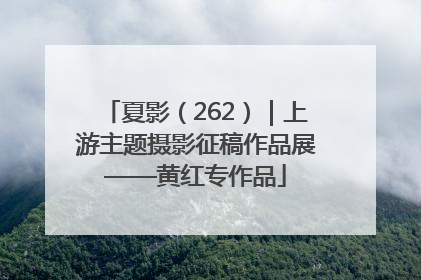 夏影（262）｜上游主题摄影征稿作品展——黄红专作品