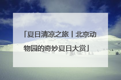 夏日清凉之旅丨北京动物园的奇妙夏日大赏
