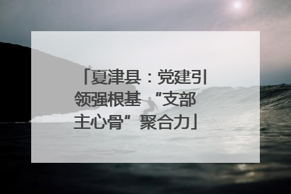 夏津县：党建引领强根基 “支部主心骨”聚合力