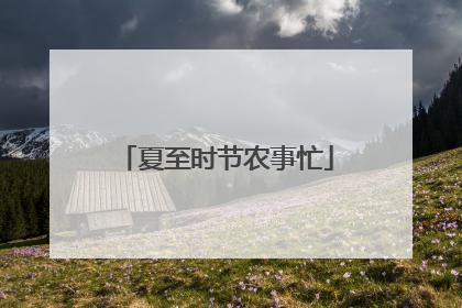 夏至时节农事忙