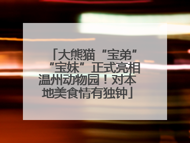 大熊猫“宝弟”“宝妹”正式亮相温州动物园！对本地美食情有独钟