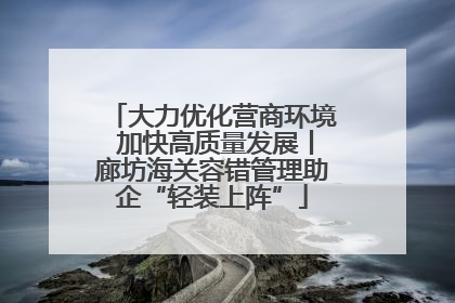 大力优化营商环境 加快高质量发展丨廊坊海关容错管理助企“轻装上阵”