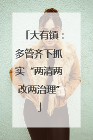 大有镇：多管齐下抓实“两清两改两治理”
