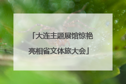 大连主题展馆惊艳亮相省文体旅大会