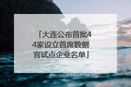 大连公布首批44家设立首席数据官试点企业名单