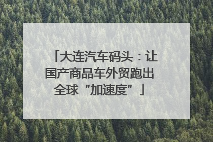 大连汽车码头：让国产商品车外贸跑出全球“加速度”