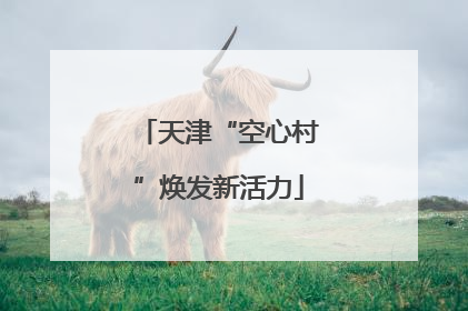 天津“空心村”焕发新活力