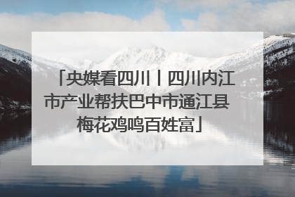 央媒看四川丨四川内江市产业帮扶巴中市通江县 梅花鸡鸣百姓富