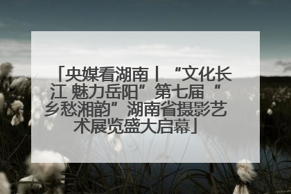 央媒看湖南丨“文化长江 魅力岳阳”第七届“乡愁湘韵”湖南省摄影艺术展览盛大启幕