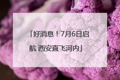 好消息！7月6日启航 西安直飞河内