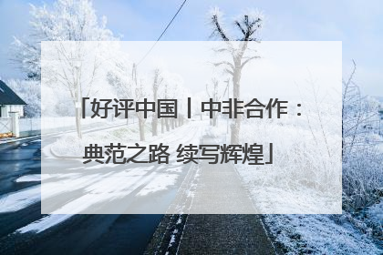 好评中国丨中非合作：典范之路 续写辉煌