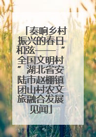 奏响乡村振兴的春日和弦——“全国文明村”湖北省安陆市赵棚镇团山村农文旅融合发展见闻