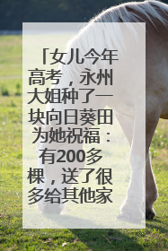 女儿今年高考，永州大姐种了一块向日葵田为她祝福：有200多棵，送了很多给其他家长